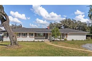 4019 MOORES LAKE ROAD, DOVER, FL 33527 - MLS#MFRTB8483673