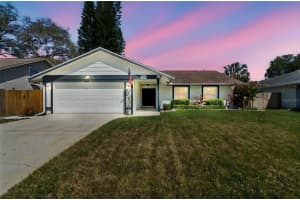 2817 WENDOVER TERRACE, PALM HARBOR, FL 34685 - MLS#MFRTB8483705