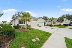 31457 MANGO FADE WAY, SAN ANTONIO, FL 33576 - MLS#MFRTB8483718
