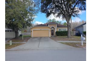 10310 Goldenbrook Way, TAMPA
