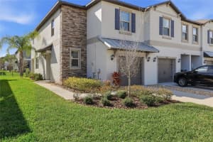 14373 EASY GOER STREET, SUN CITY CENTER, FL 33573 - MLS#MFRTB8483755