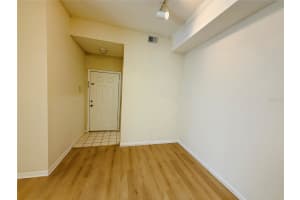 17110 CARRINGTON PARK DRIVE, TAMPA, FL 33647 - MLS#MFRTB8483771