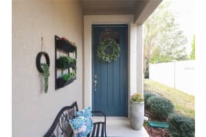 5841 GRAND SONATA AVENUE, LUTZ, FL 33558 - MLS#MFRTB8483803