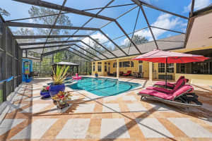 10823 ALICO PASS, NEW PORT RICHEY, FL 34655 - MLS#MFRTB8483850