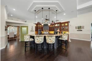 10823 ALICO PASS, NEW PORT RICHEY, FL 34655 - MLS#MFRTB8483850