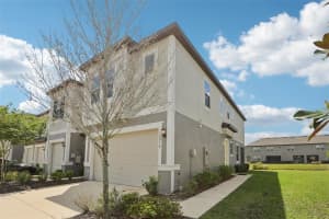 32010 BLUE PASSING LOOP, WESLEY CHAPEL, FL 33545 - MLS#MFRTB8483868