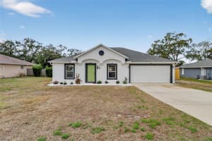 307 PLUMTREE AVENUE, SPRING HILL, FL 34606 - MLS#MFRTB8483886