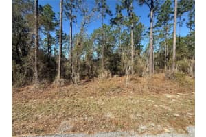 Lot 13 129 COURT, DUNNELLON, FL 34431 - MLS#MFRTB8483901
