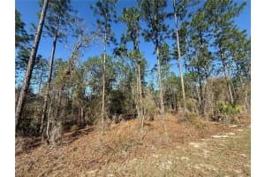Lot 13 129 COURT, DUNNELLON, FL 34431 - MLS#MFRTB8483901