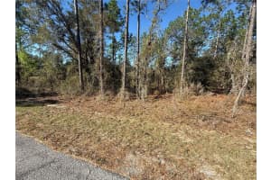 Lot 13 129 COURT, DUNNELLON, FL 34431 - MLS#MFRTB8483901
