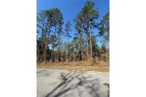 Lot 13 129 COURT, DUNNELLON, FL 34431 - MLS#MFRTB8483901