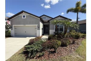 11108 Sage Canyon Dr, RIVERVIEW