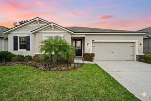 11406 Blue Woods Dr, RIVERVIEW
