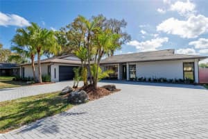 3754 LAKE JOYCE DRIVE, LAND O LAKES, FL 34639 - MLS#MFRTB8483928