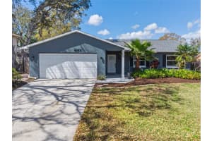 4169 Mallard Dr, SAFETY HARBOR 4169 Mallard Dr, SAFETY HARBOR