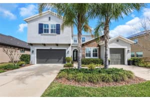 29494 PICANA LANE, WESLEY CHAPEL, FL 33543 - MLS#MFRTB8483977