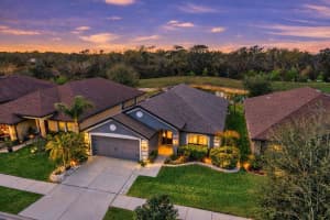 12278 LEGACY BRIGHT STREET, RIVERVIEW, FL 33578 - MLS#MFRTB8483995