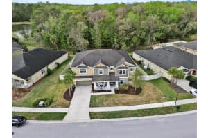 1611 TILTED CYPRESS PLACE, WESLEY CHAPEL, FL 33544 - MLS#MFRTB8484015