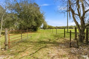 1353 CR 738E, WEBSTER, FL 33597 - MLS#MFRTB8484033