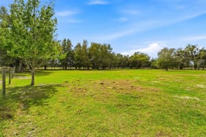 1353 CR 738E, WEBSTER, FL 33597 - MLS#MFRTB8484033