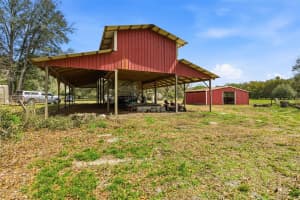 1353 CR 738E, WEBSTER, FL 33597 - MLS#MFRTB8484033