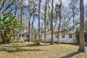 18709 WAYNE ROAD, ODESSA, FL 33556 - MLS#MFRTB8484035