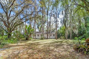 18709 WAYNE ROAD, ODESSA, FL 33556 - MLS#MFRTB8484035