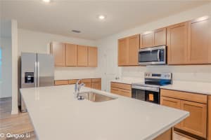 32463 WEATHERED OAK DRIVE, WESLEY CHAPEL, FL 33543 - MLS#MFRTB8484042