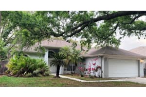 3820 CYPRESS MEADOWS ROAD, TAMPA, FL 33624 - MLS#MFRTB8484062