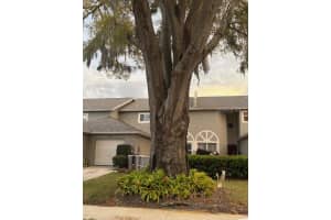 159 Hunter Ct #n/a, PALM HARBOR