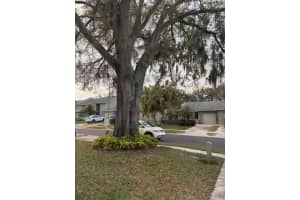 159 HUNTER COURT, PALM HARBOR, FL 34684 - MLS#MFRTB8484112