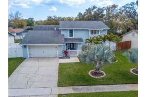 4104 Dellbrook Dr, TAMPA