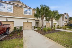 5525 CUMBERLAND STAR COURT, LUTZ, FL 33558 - MLS#MFRTB8484149