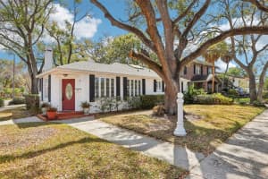 43 AEGEAN AVENUE, TAMPA, FL 33606 - MLS#MFRTB8484152