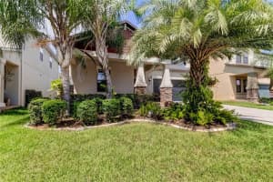 11024 Little Blue Heron Dr, RIVERVIEW