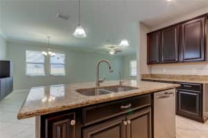11024 LITTLE BLUE HERON DRIVE, RIVERVIEW, FL 33579 - MLS#MFRTB8484171