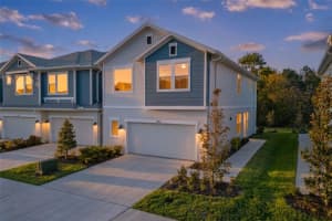 17240 Balance Cv, LAND O LAKES