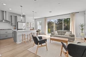 17240 BALANCE COVE, LAND O LAKES, FL 34638 - MLS#MFRTB8484198