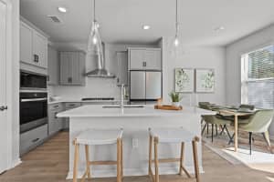 17240 BALANCE COVE, LAND O LAKES, FL 34638 - MLS#MFRTB8484198