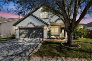 8816 Cypress Hammock Dr, TAMPA 8816 Cypress Hammock Dr, TAMPA