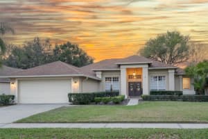 3503 Autumn Glen Dr, VALRICO