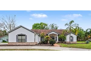 19216 Ridgelake Dr, LUTZ