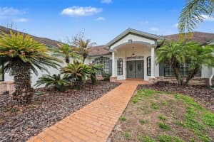 19216 RIDGELAKE DRIVE, LUTZ, FL 33549 - MLS#MFRTB8484236