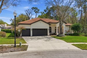 17701 GREY EAGLE ROAD, TAMPA, FL 33647 - MLS#MFRTB8484248