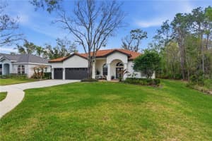 17701 GREY EAGLE ROAD, TAMPA, FL 33647 - MLS#MFRTB8484248