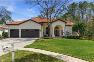 17701 GREY EAGLE ROAD, TAMPA, FL 33647 - MLS#MFRTB8484248