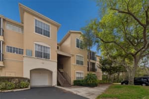 5125 Palm Springs Blvd #4305, TAMPA