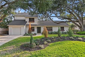4504 LAMB AVENUE, TAMPA, FL 33629 - MLS#MFRTB8484277