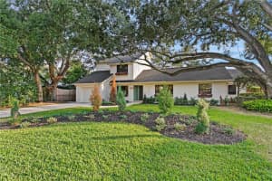 4504 LAMB AVENUE, TAMPA, FL 33629 - MLS#MFRTB8484277