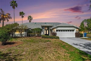 11009 WOODLAND WATERS BOULEVARD, WEEKI WACHEE, FL 34613 - MLS#MFRTB8484304